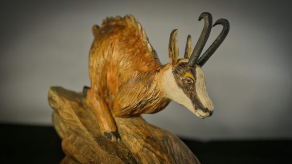 Le Chamois sort du bois