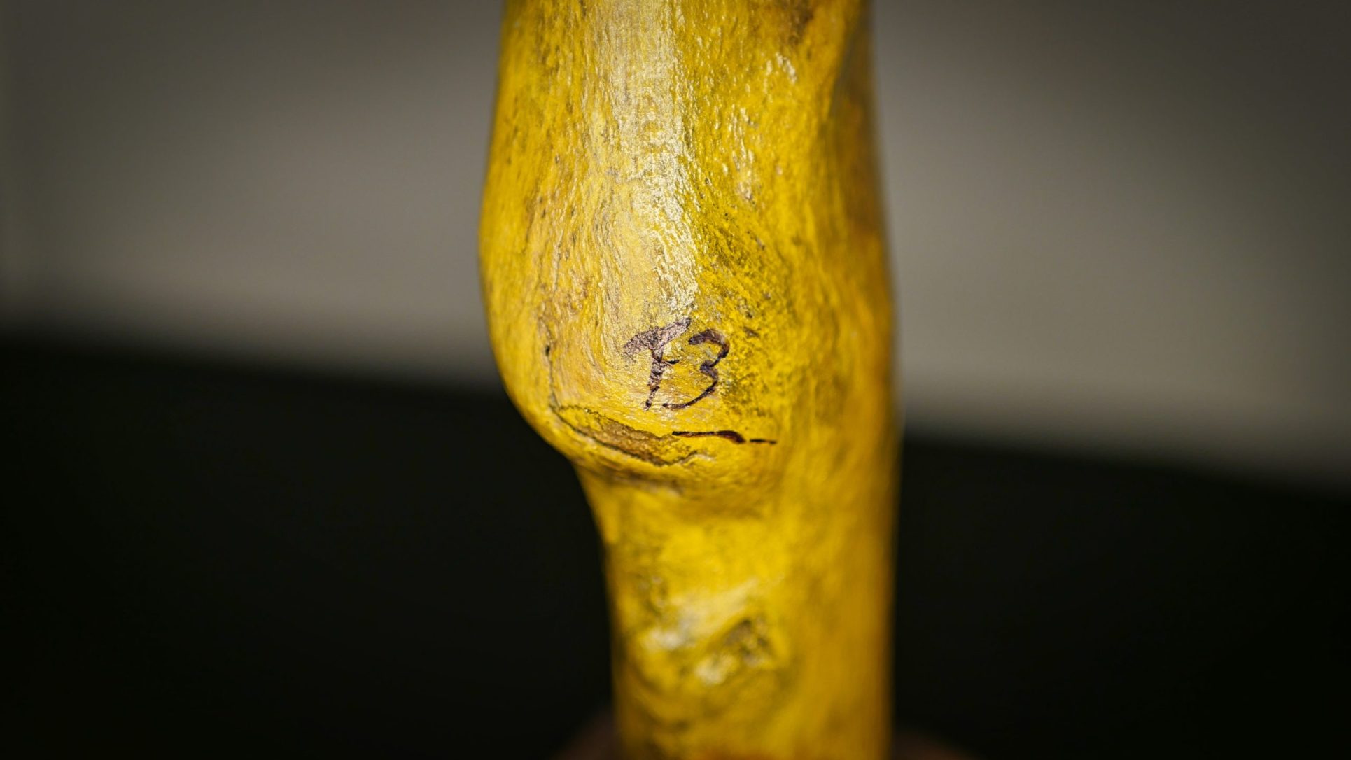 Le Jaseur des cèdres – Image 12