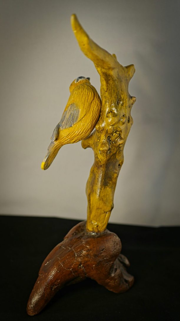 Le Jaseur des cèdres – Image 10