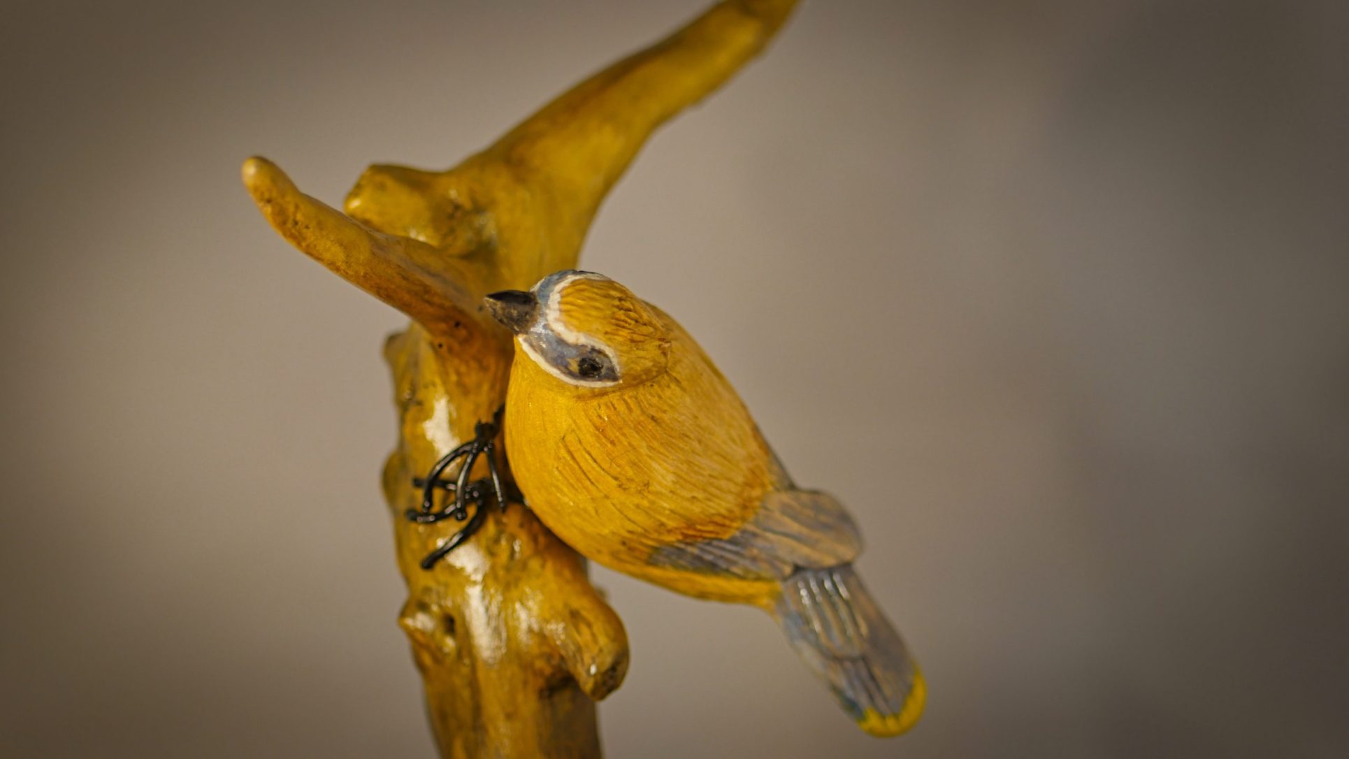 Le Jaseur des cèdres – Image 9