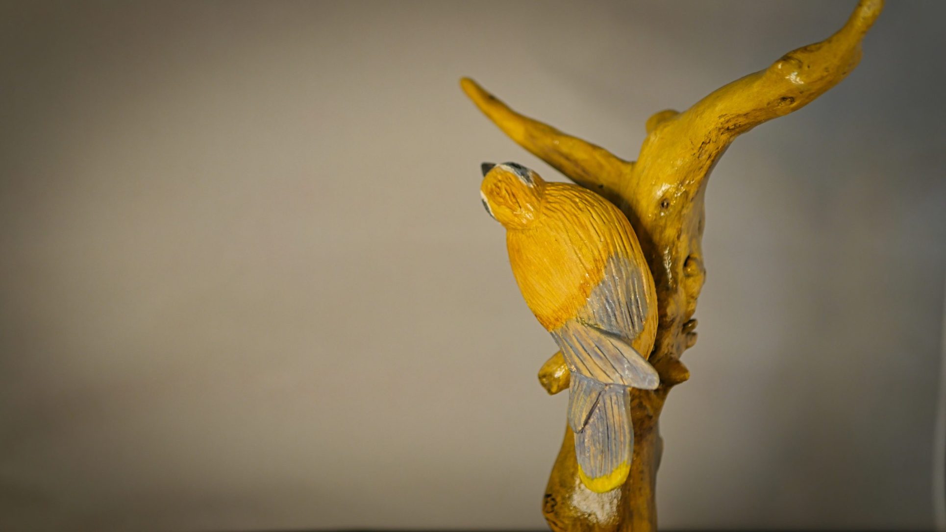 Le Jaseur des cèdres – Image 6