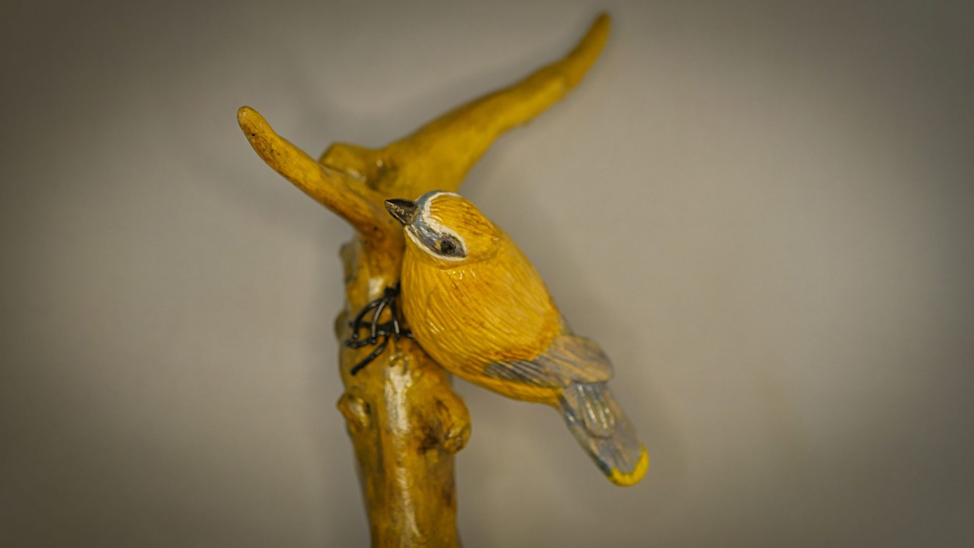 Le Jaseur des cèdres – Image 5