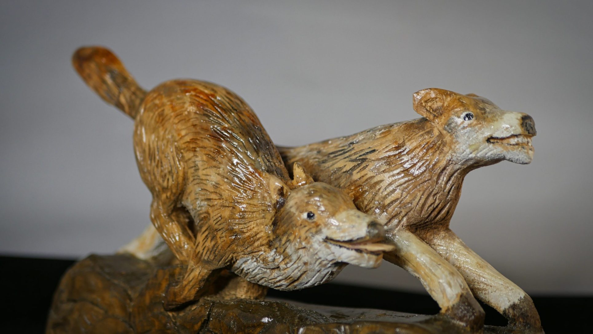 Les loups sortent du bois – Image 8