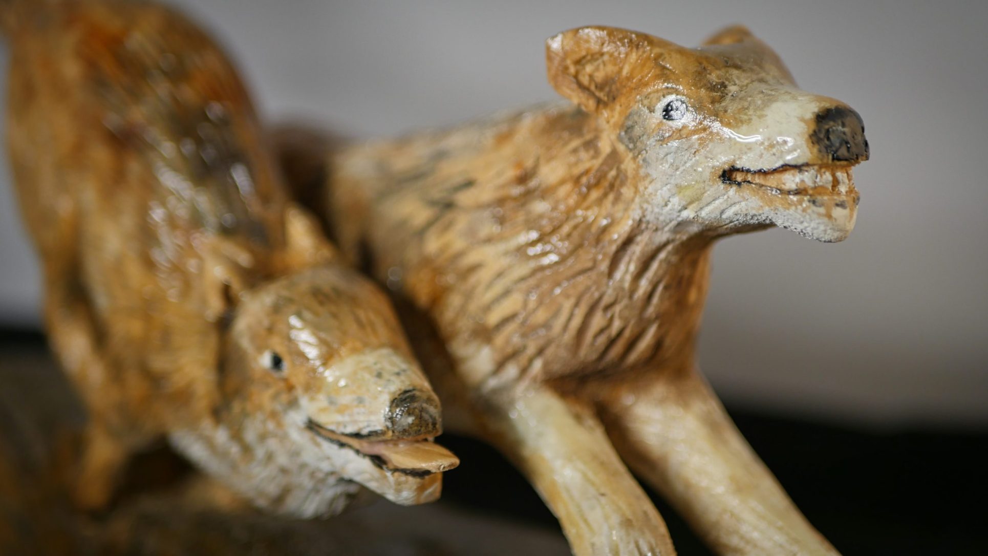 Les loups sortent du bois – Image 6