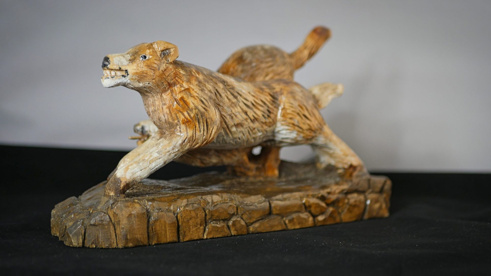 Les loups sortent du bois – Image 5