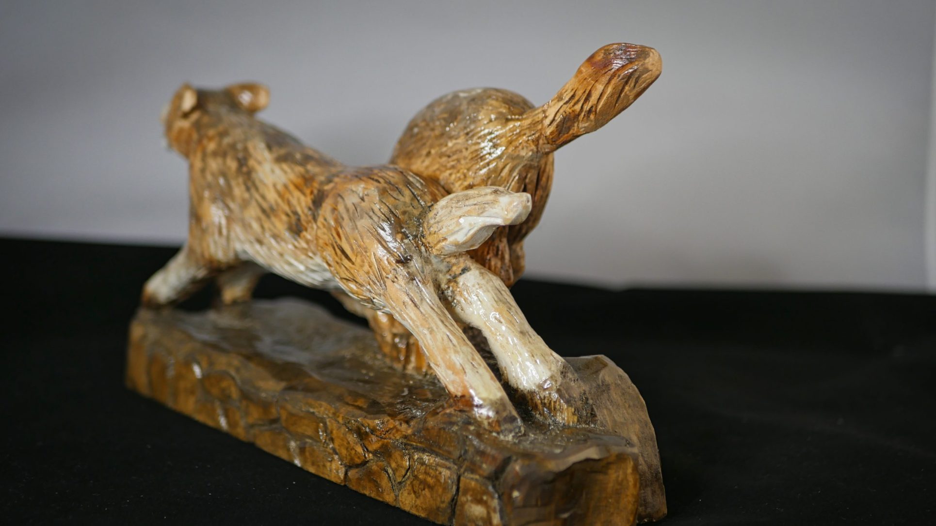 Les loups sortent du bois – Image 4