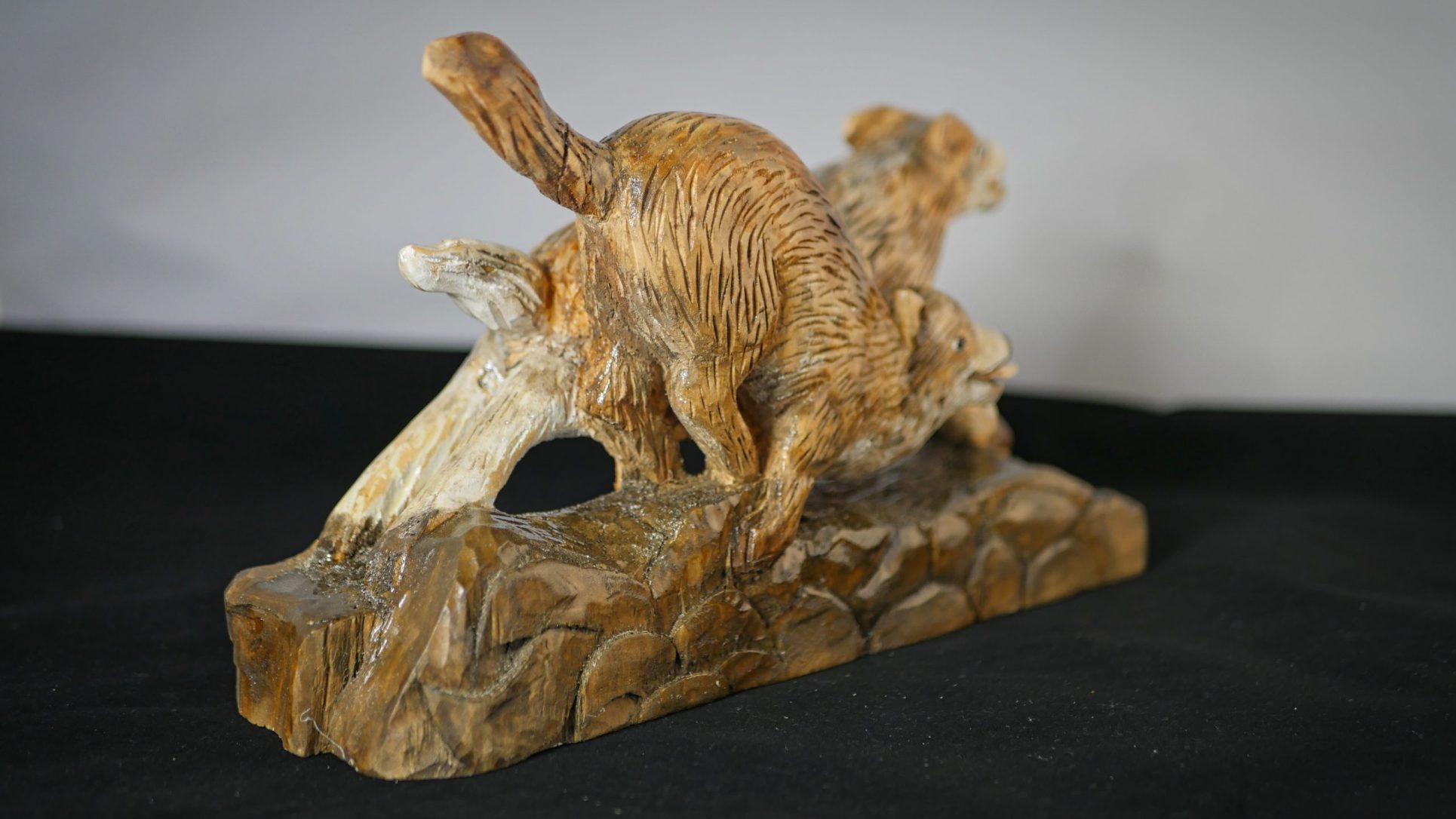 Les loups sortent du bois – Image 3